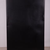 Mid-Century Medical Cabinet, 1950s