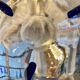 Poschinger crystal vase