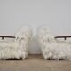 Paire de fauteuils en peau de mouton 1960s