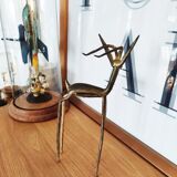 Antelope