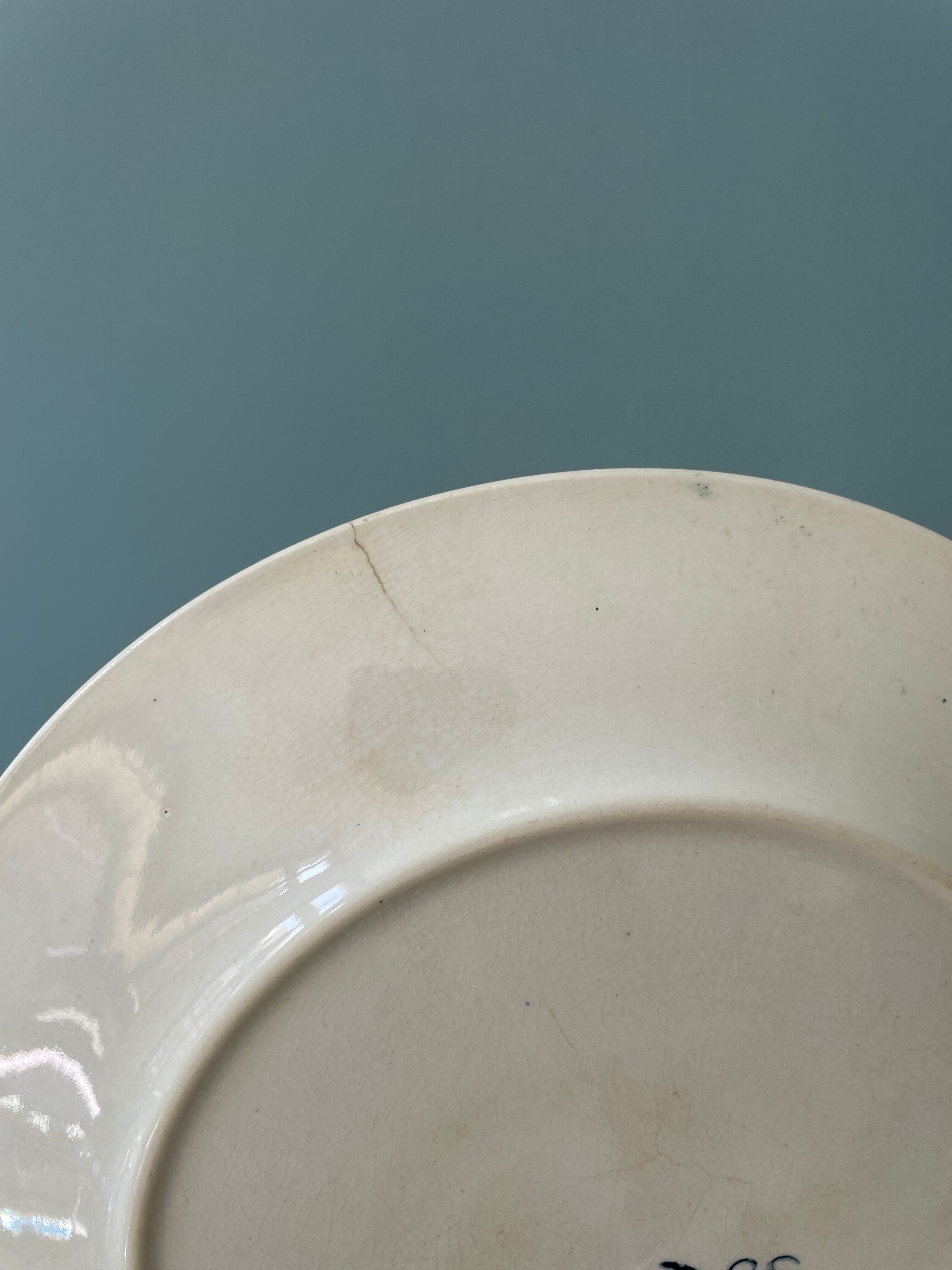 Set of 8 flat plates 19th century Terre de Fer, “Stella” Onnaing earthenware