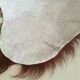 Beast skin mat