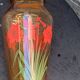Vintage red-flowered pink glass vase