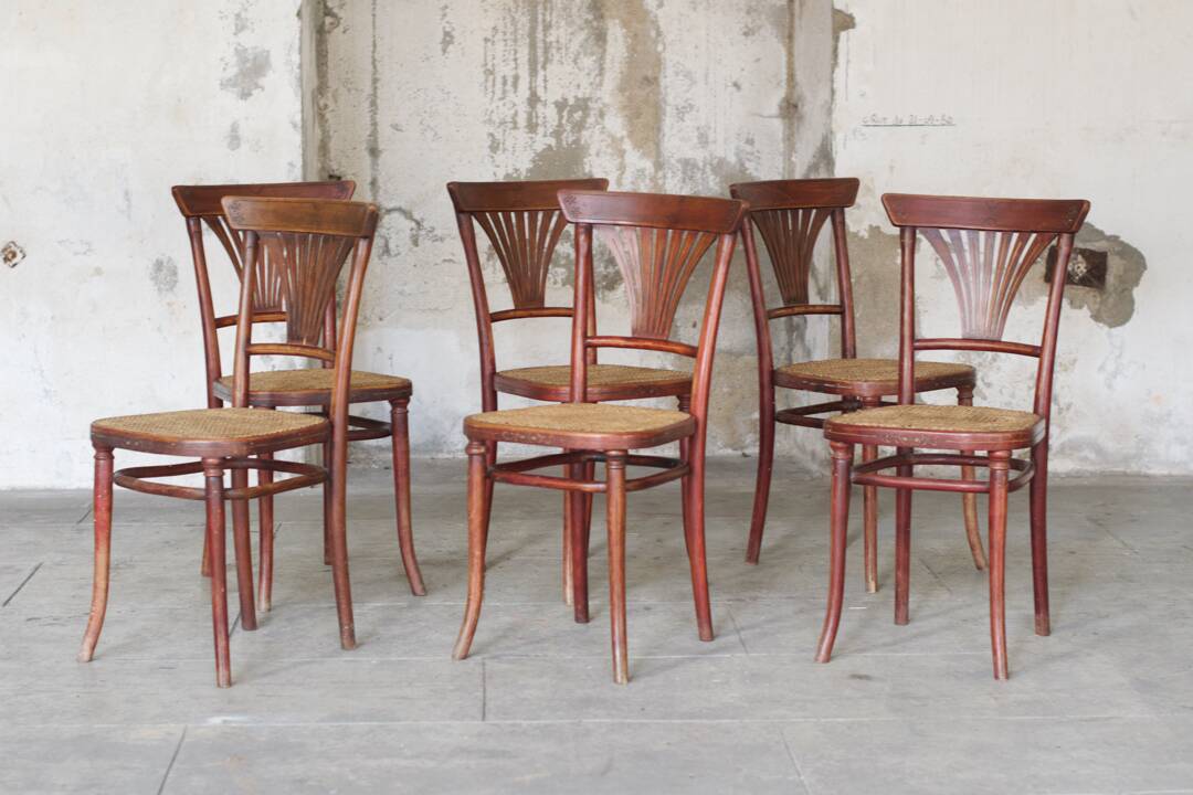 6 chairs n°221 canework Michael Thonet - 1920