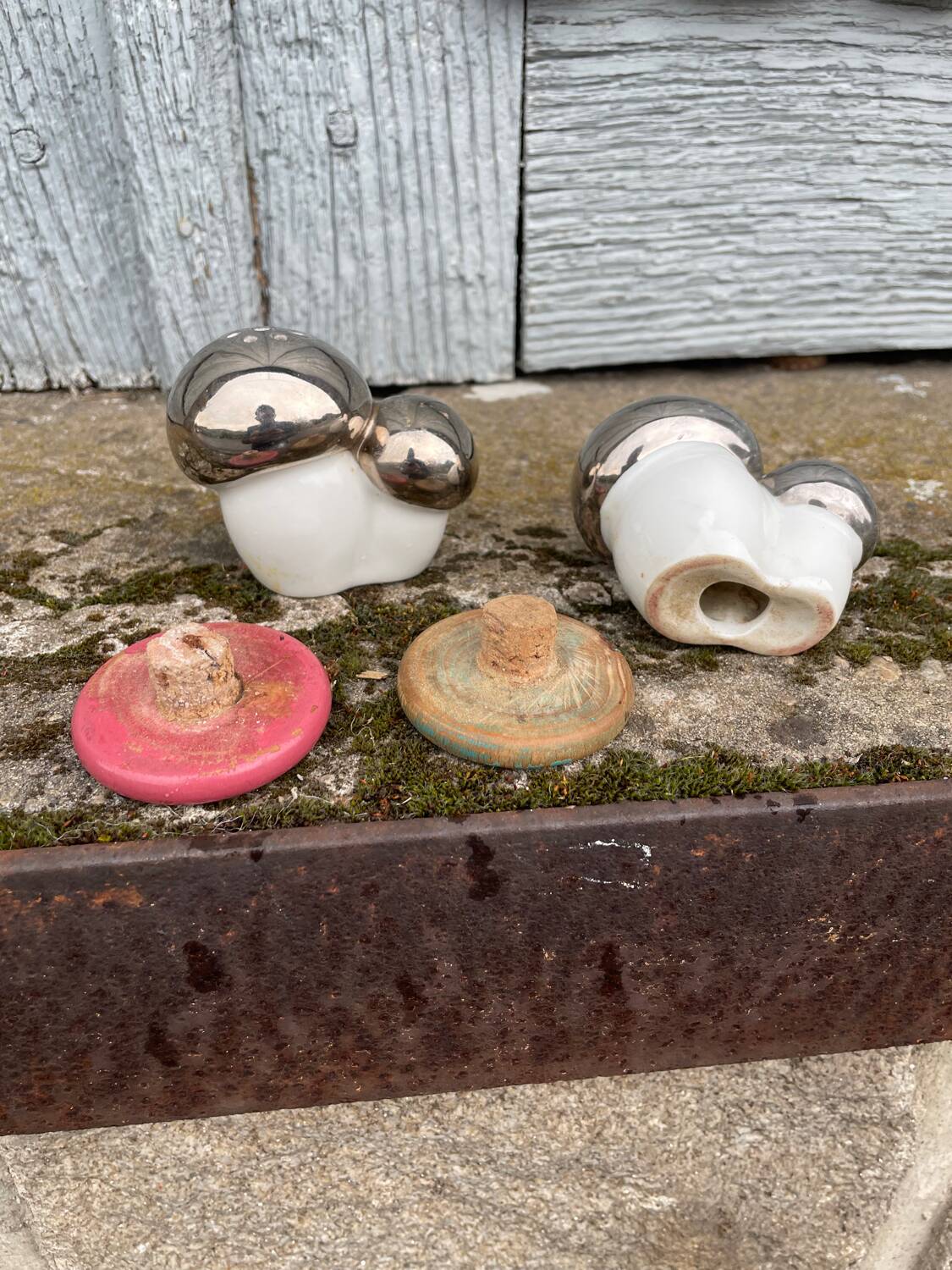 Antique porcelain salt and pepper shaker with mushrooms