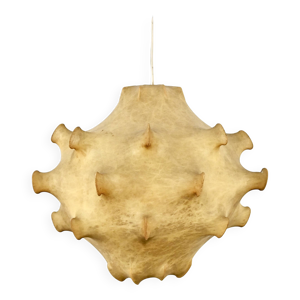 suspension Taraxacum