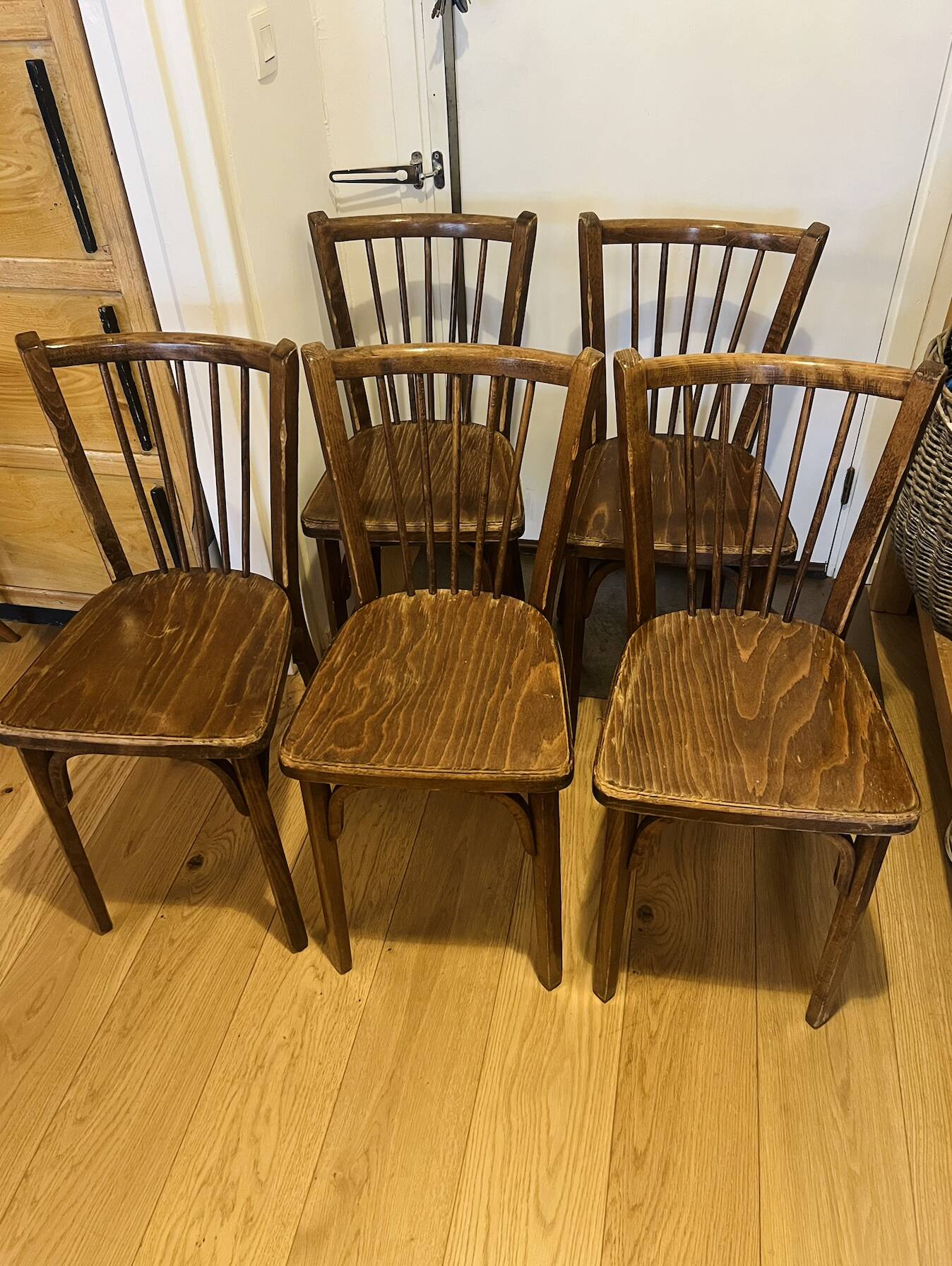 (Lot) 5 Baumann chairs model 83