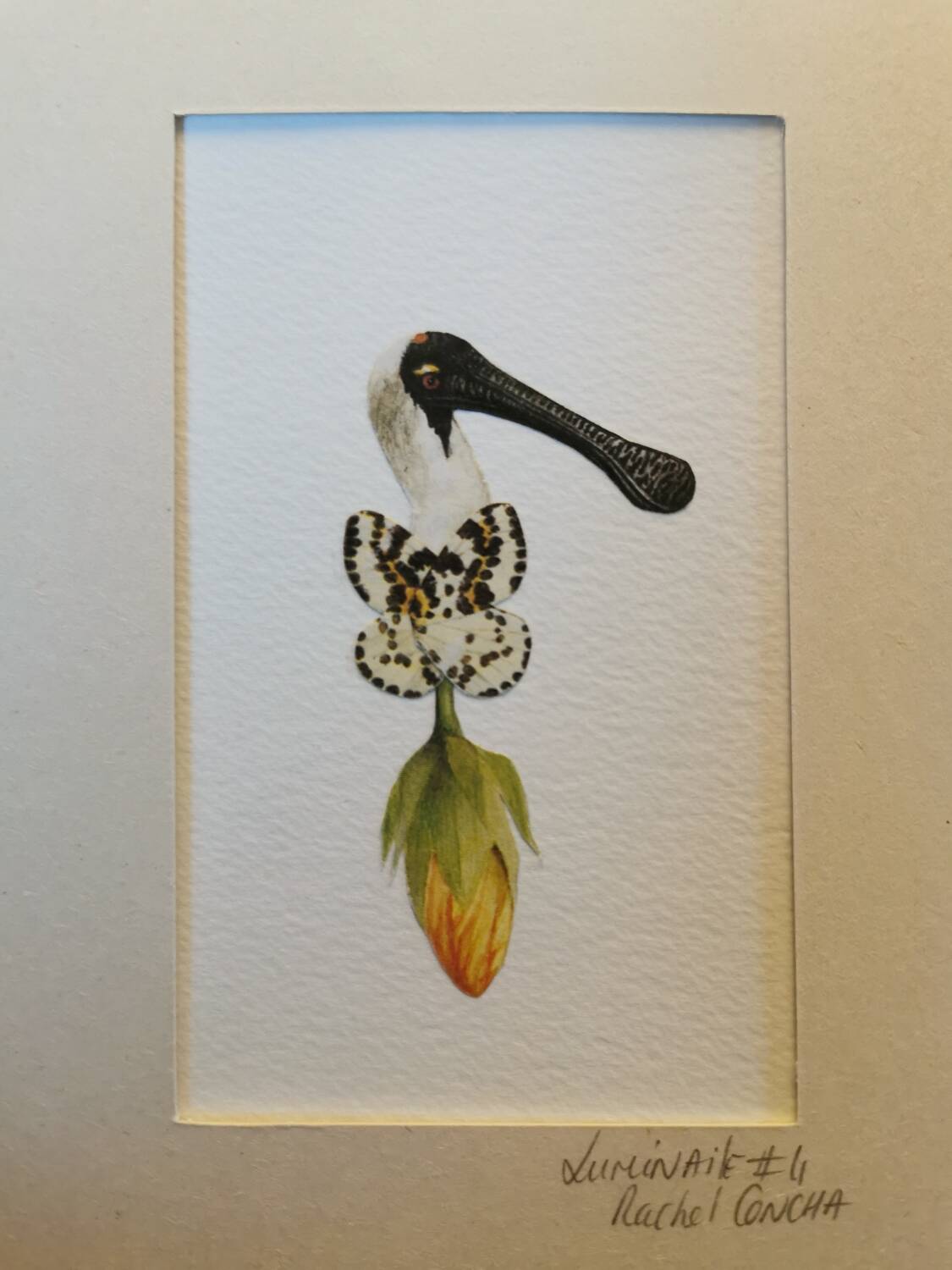 Lulinaile Collage #4