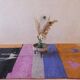 Tapis Coloré Boujad - 304 x 197 cm