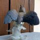 Oiseau numéroté et signé Karl Ens, en porcelaine de Saxe, XIXème siècle