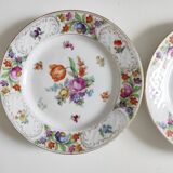 Pair of German porcelain flower plates