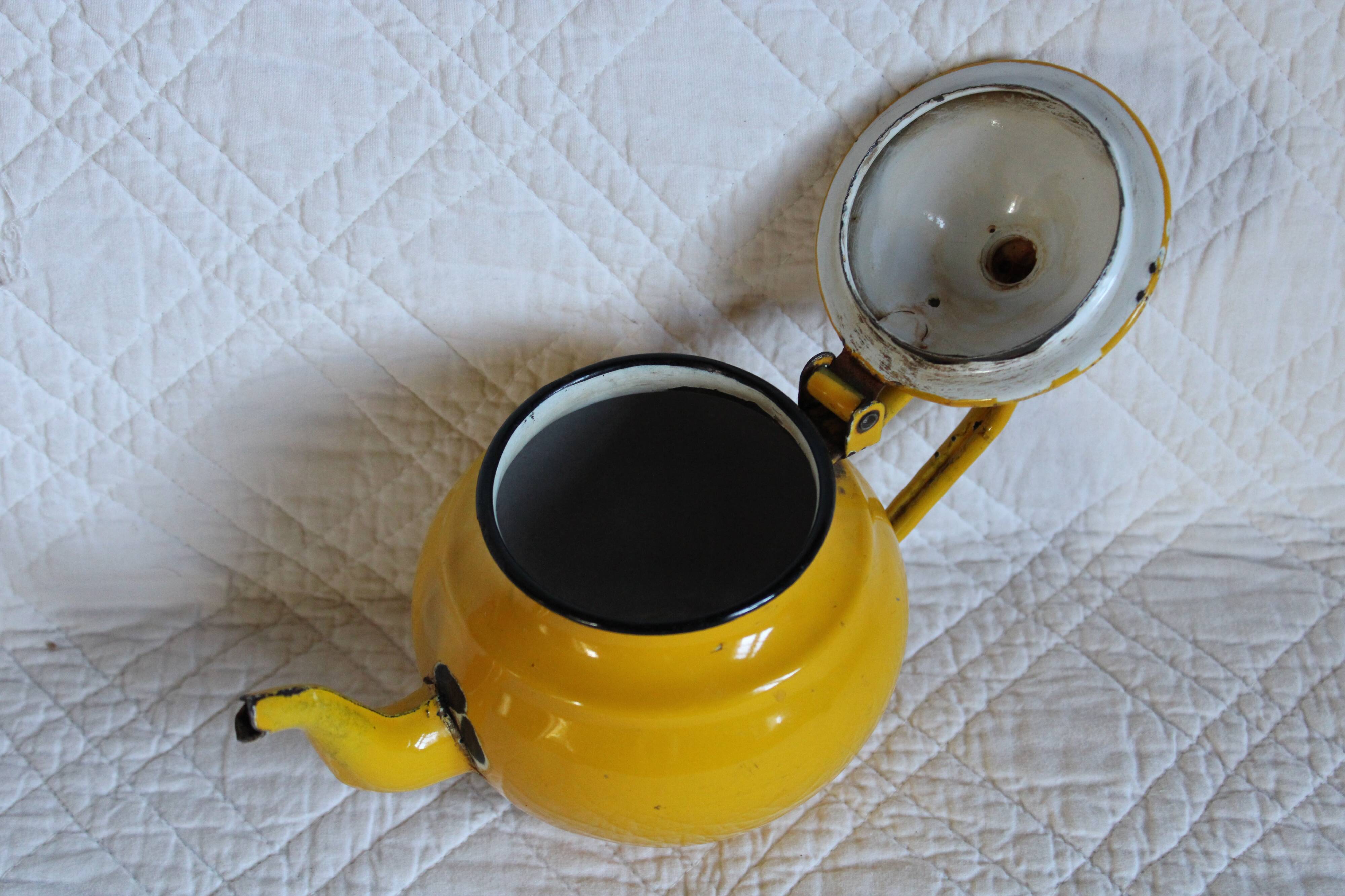 Ancient enamelled teapot
