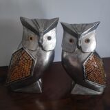 Owl duo