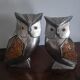 Owl duo
