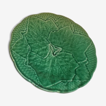 plate slurry green vine leaves