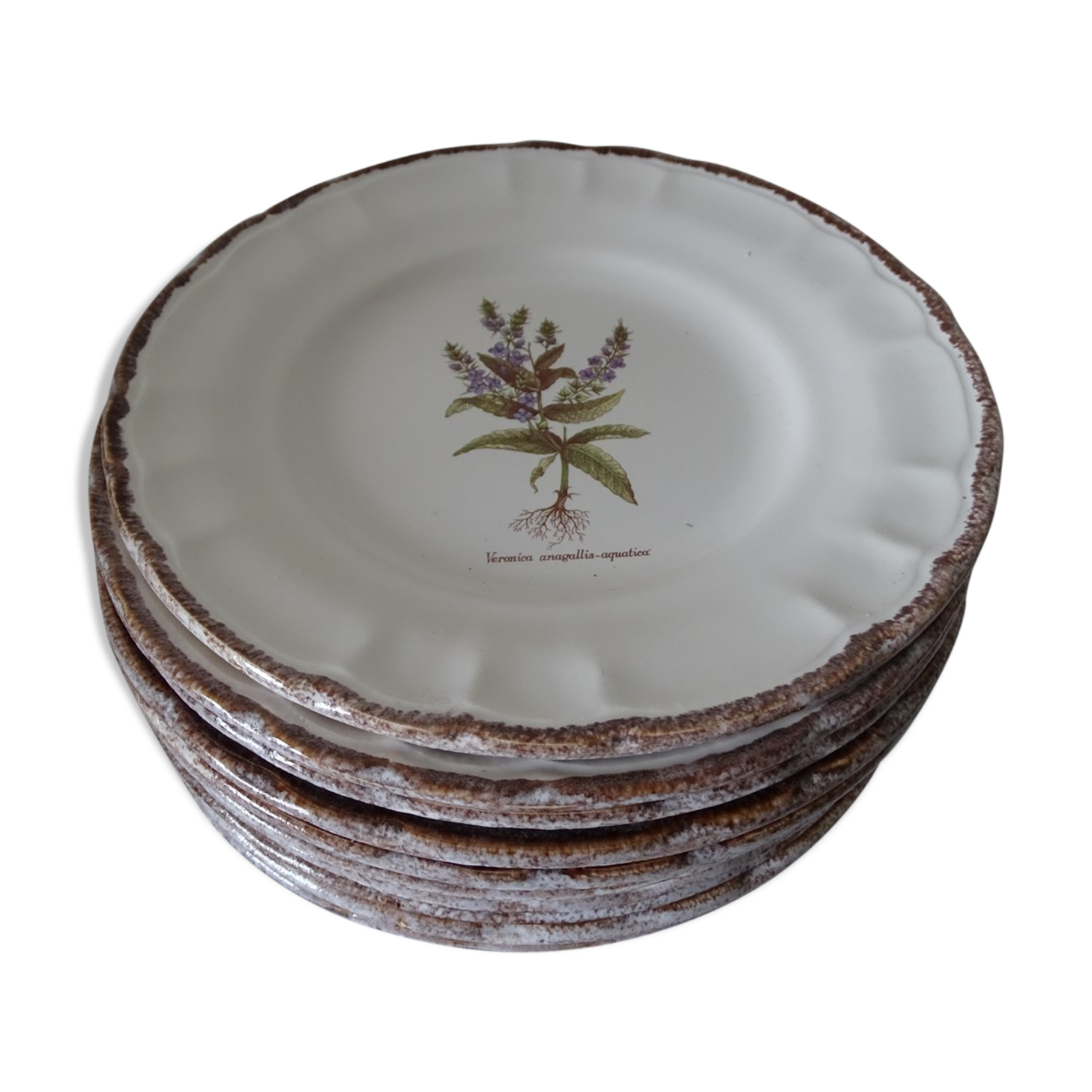 11 Plates decor plants , faience "'a d p" Haute Provence.
