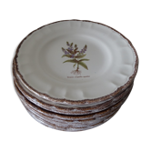 11 Plates decor plants , faience "'a d p" Haute Provence.