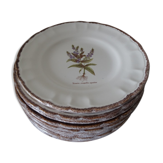 11 Plates decor plants , faience "'a d p" Haute Provence.