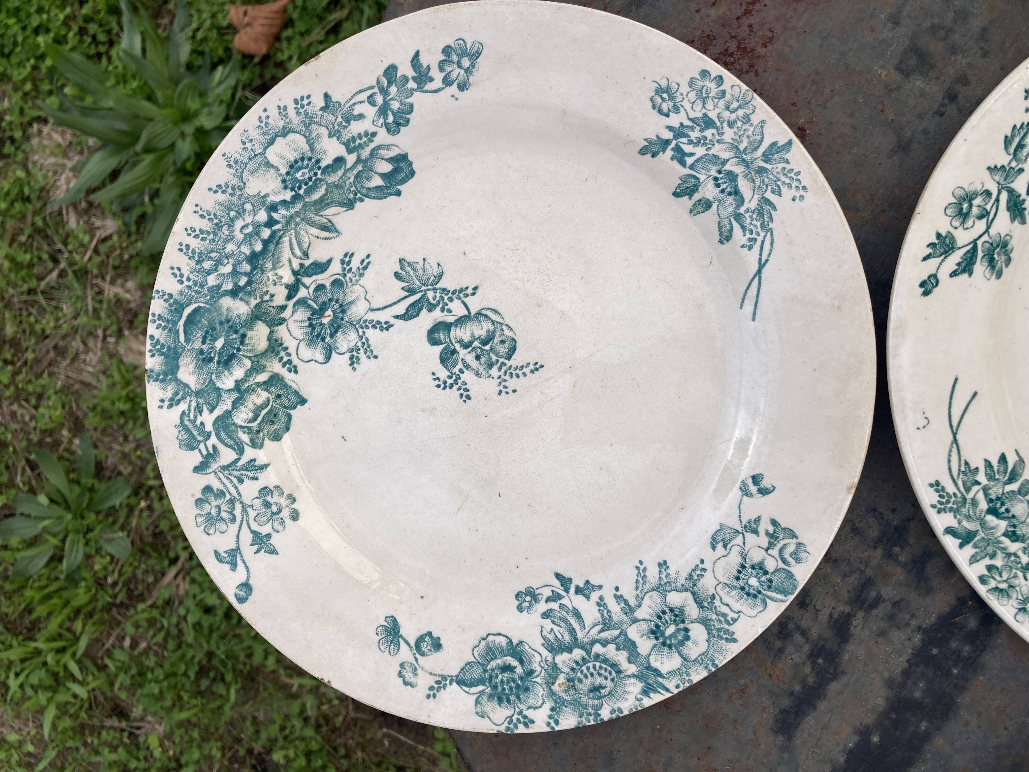 6 Flat plates iron earth by Bertrand Bordeaux / model Anémones