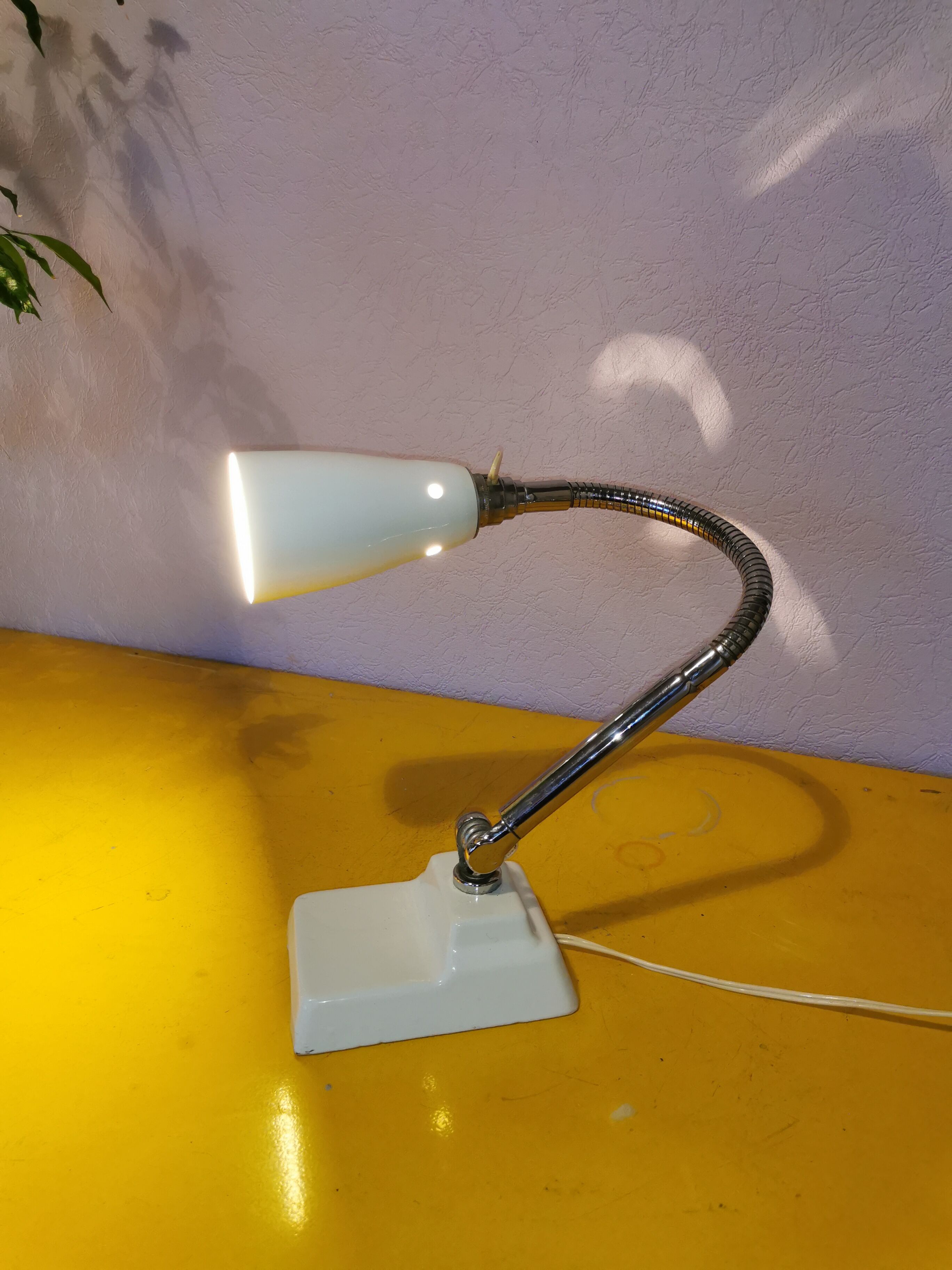 Kieklair natural science lamp, France, 1958