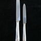 Box 24 knives boulenger in silver metal model suzy