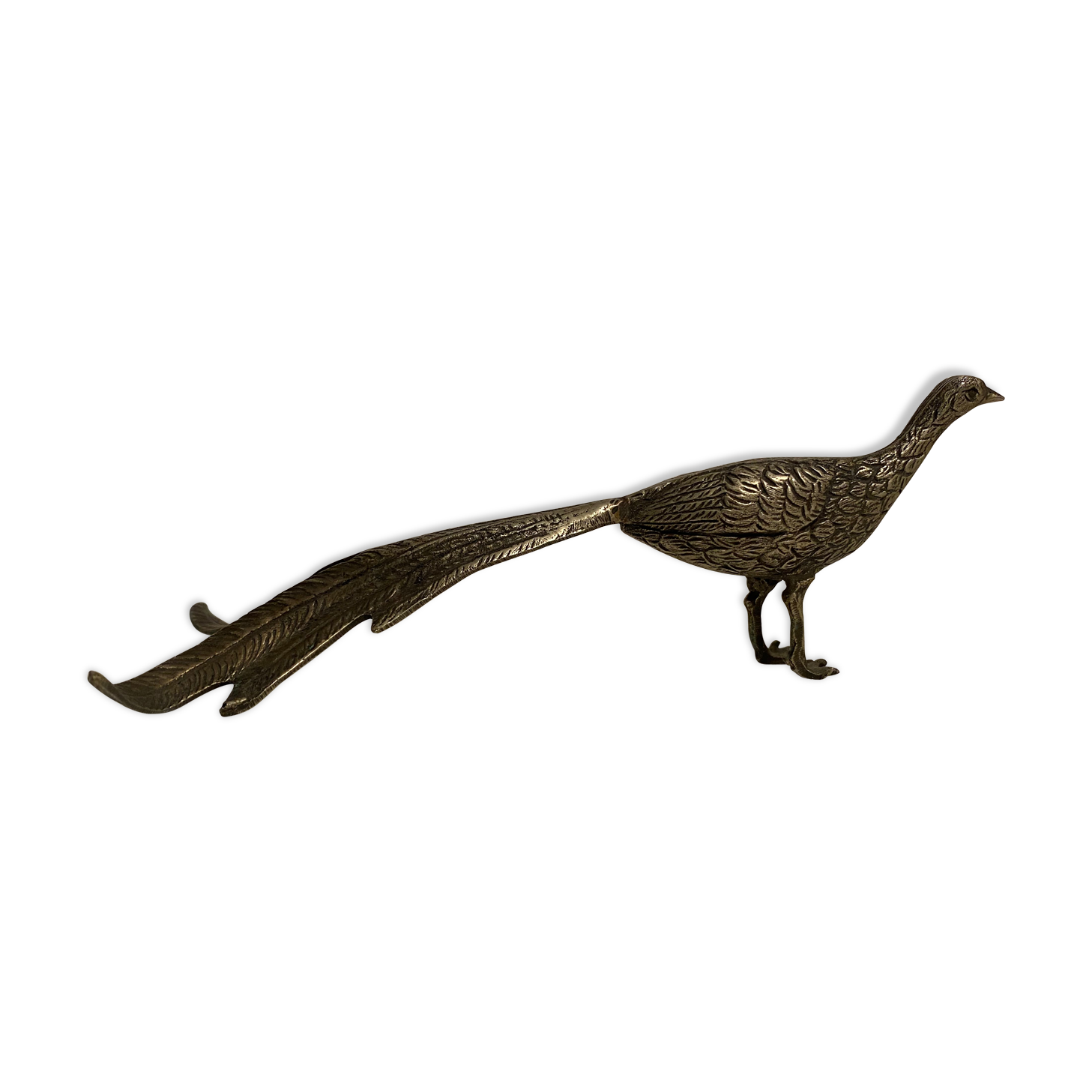 Brass pheasant
