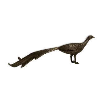 Brass pheasant