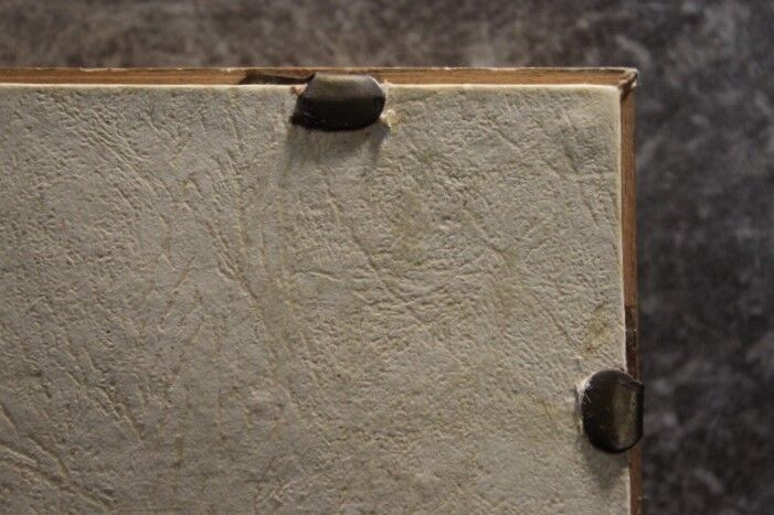 Botanical board framed PJ Dreaded