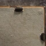 Botanical board framed PJ Dreaded