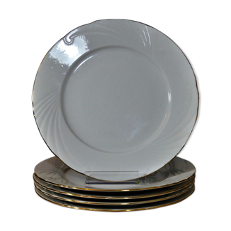 Porcelain table plates