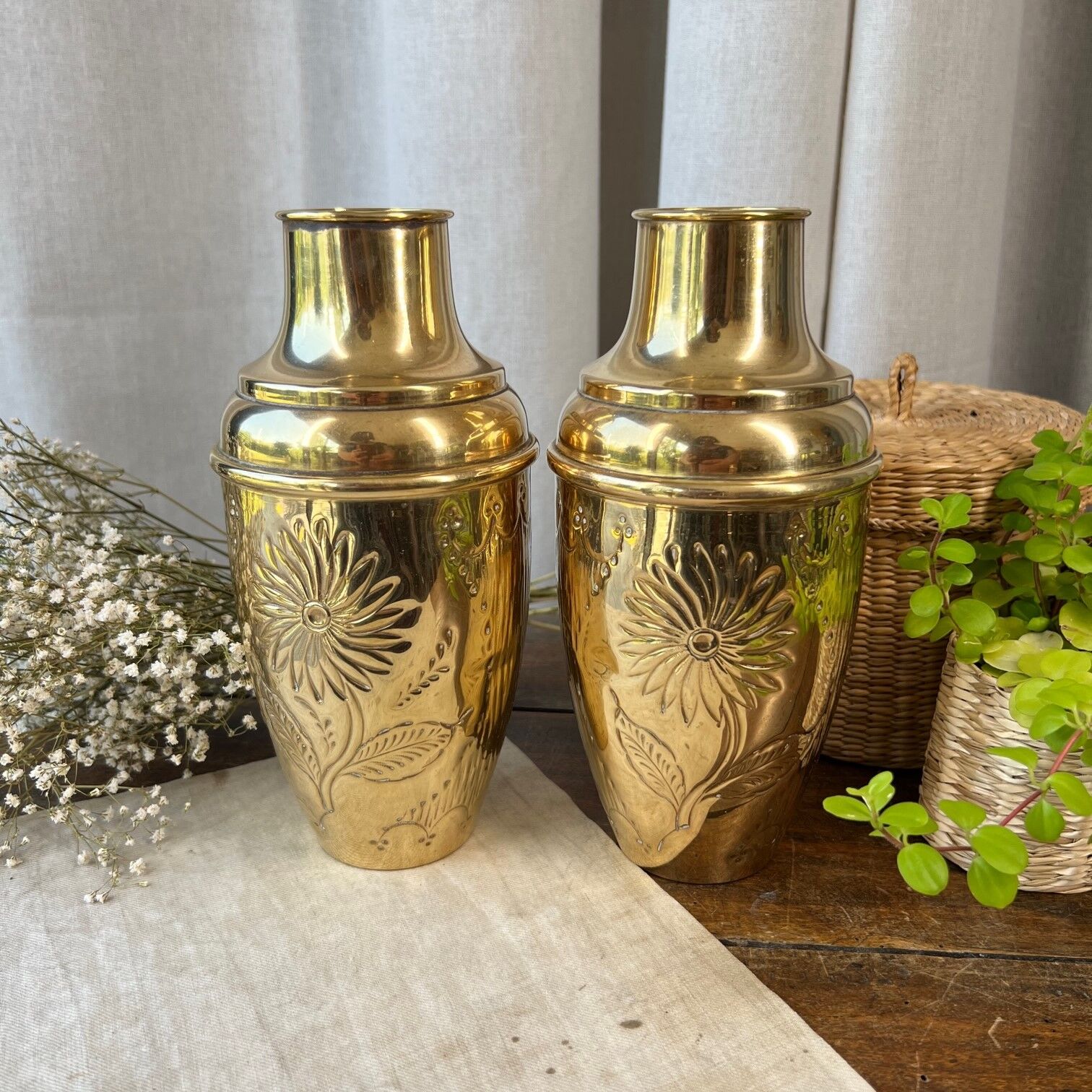 Duo of brass vases