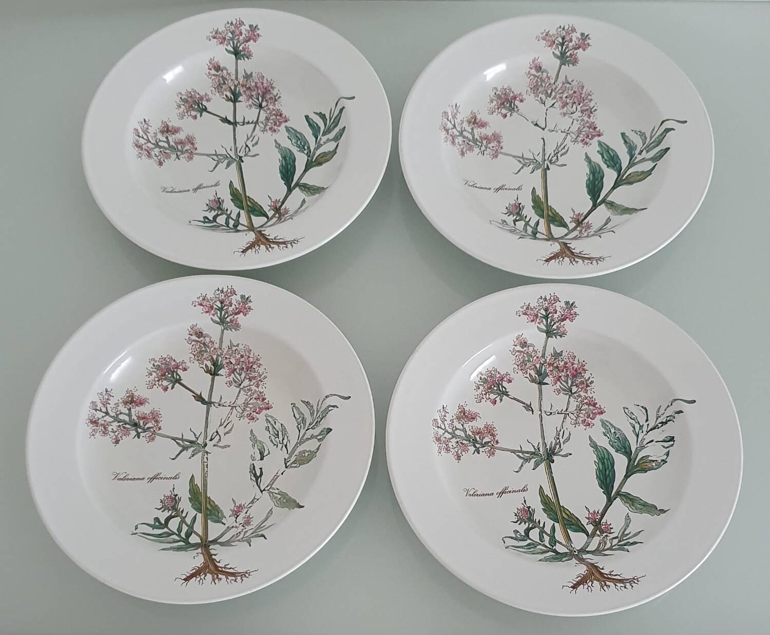 Set of 4 Villeroy and Boch soup plates - Botanica collection