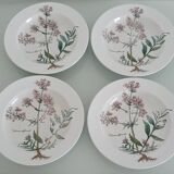 Set of 4 Villeroy and Boch soup plates - Botanica collection