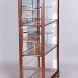 Biedermeier display cabinet, walnut, solid spruce, 1830s, czechia