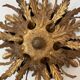 Banci Florence ceiling light foliage 6 lights