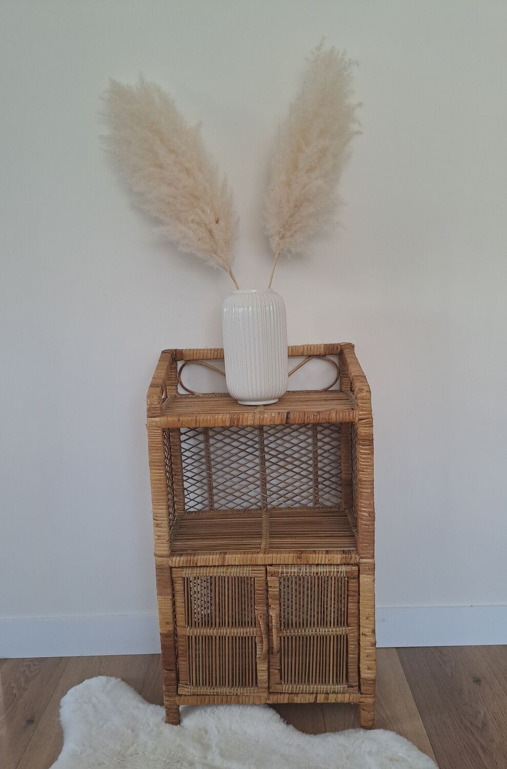Rattan shelf/cabinet