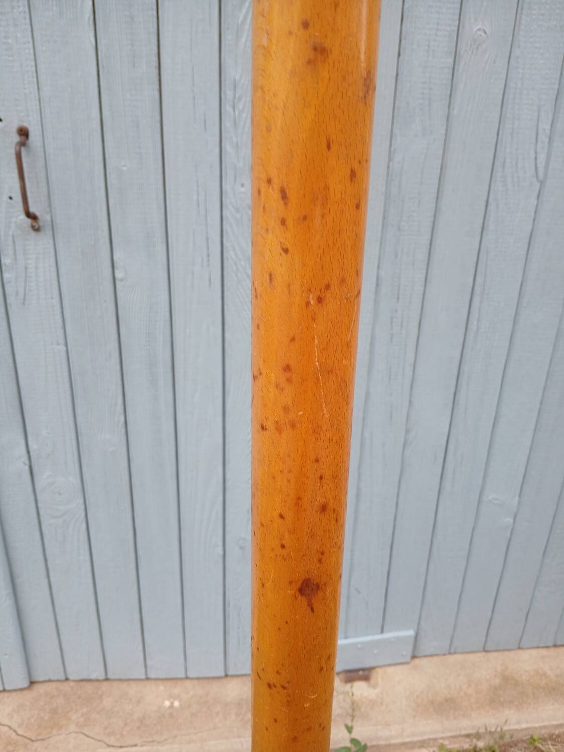 Antique parrot coat rack