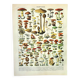 Antique engraving 1897 - Mushroom 1 by Millot - vintage botanical plate