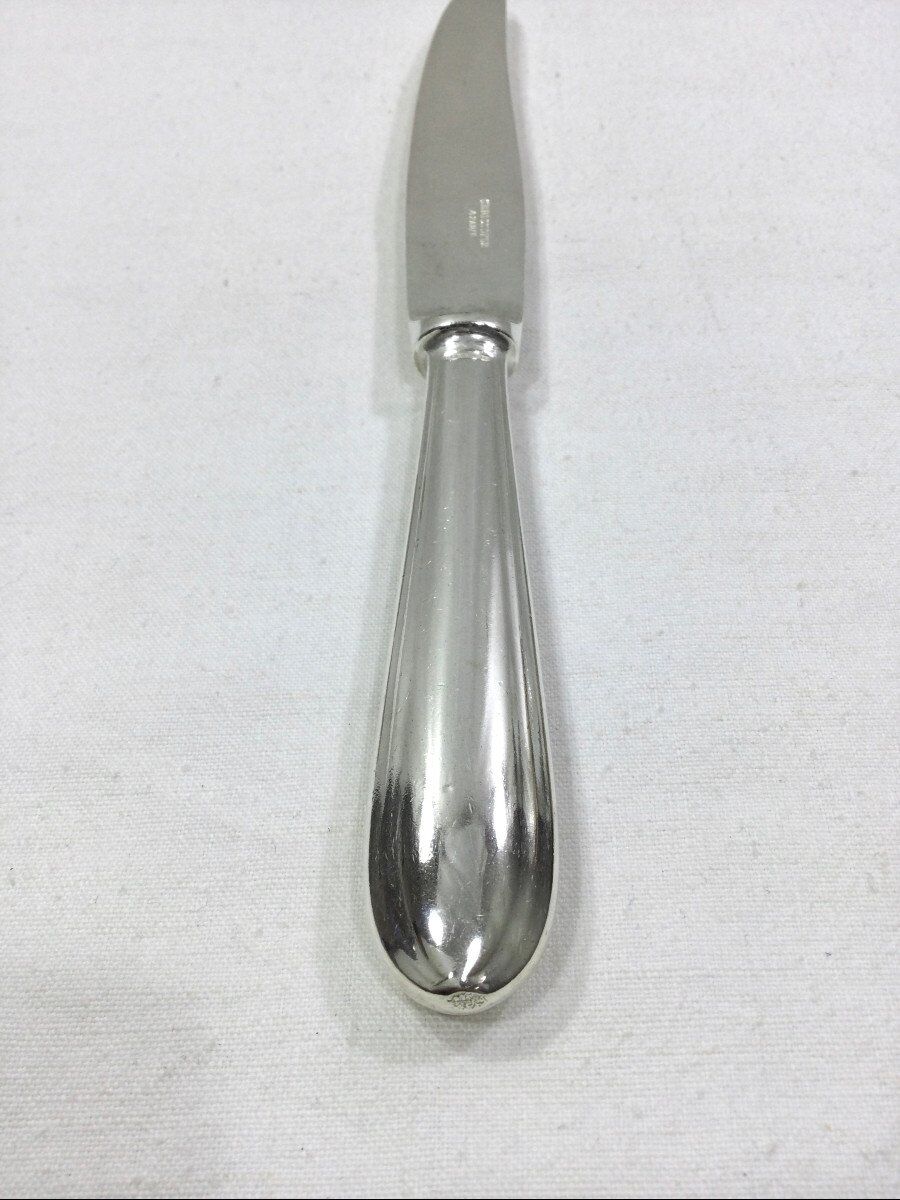 Christofle - entremet springania knives