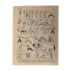 Lithographie sur l'escrime de 1897 (épée fleuret)