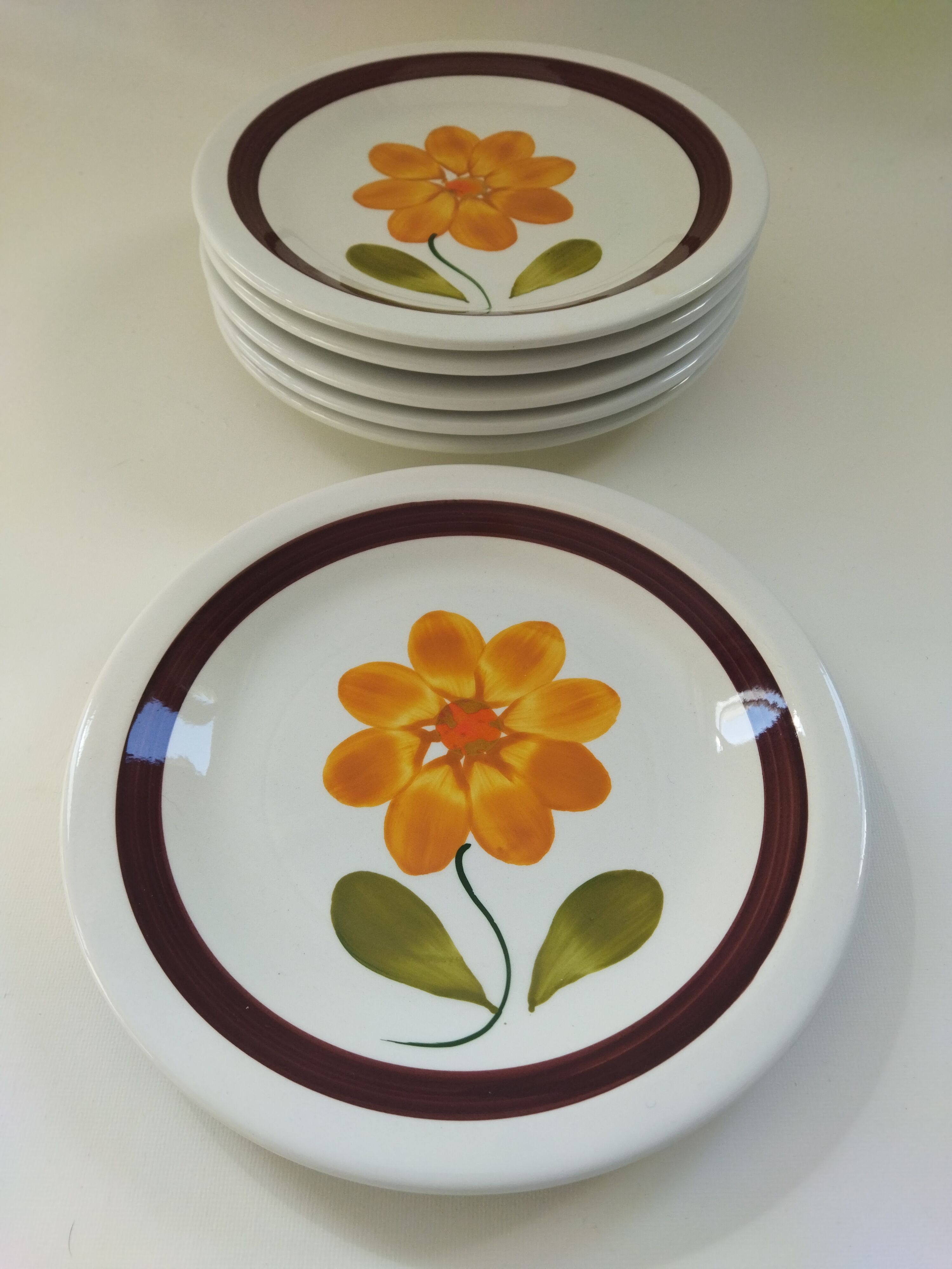 6 plates in vintage Italian earthenware 1970