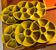 Set of six Gien oyster plates