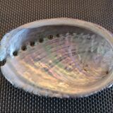 Duo of vacuum pearlescent bags in abalone shell