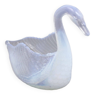 Empty swan pocket in uraline 1900