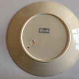 Plate of earthenware iron earth U-C Sarreguemines pattern Groseilles