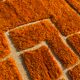 Clementine - Custom orange wool Berber rug