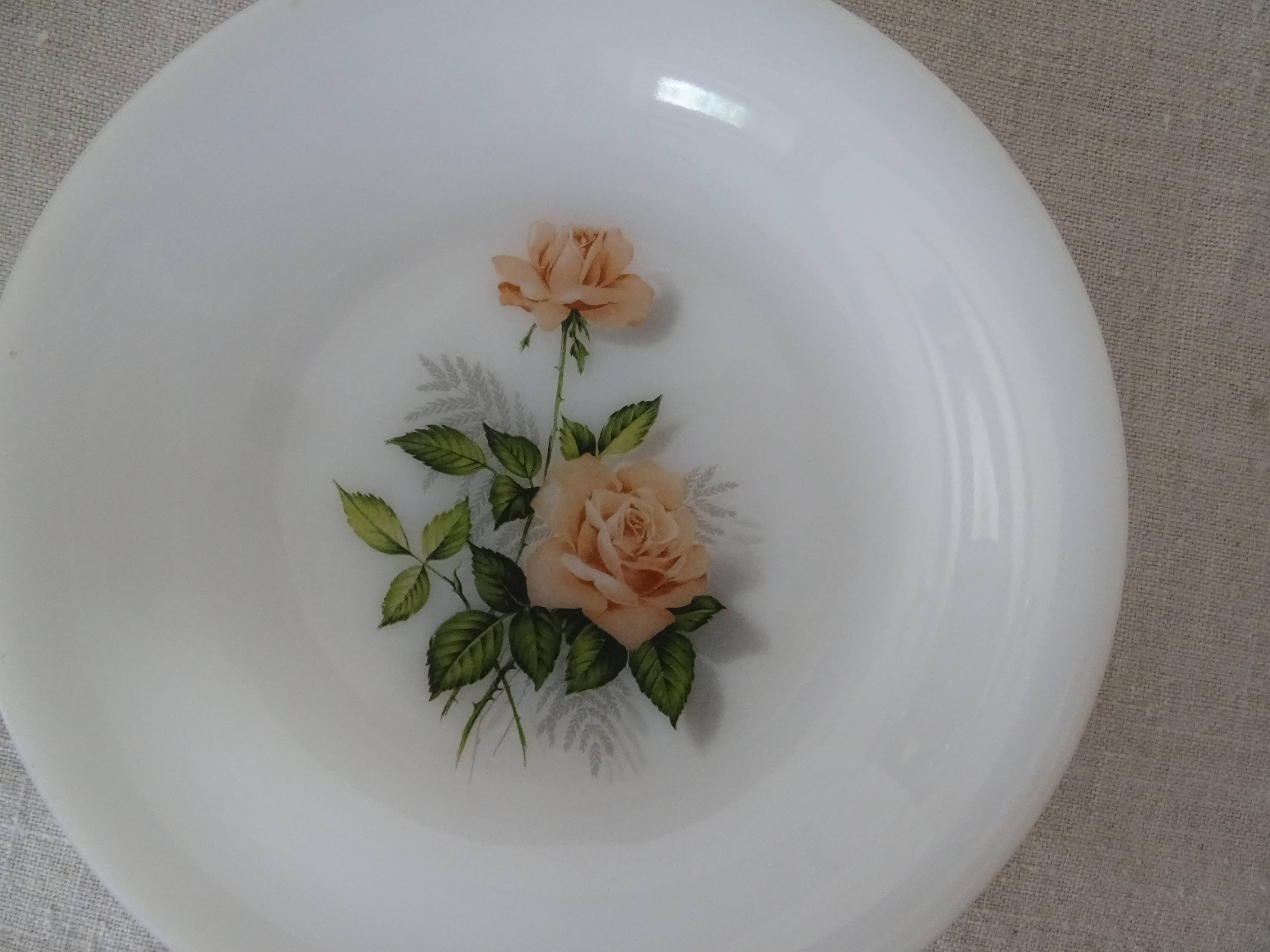 6 plates roses from France flowers hollow Arcopal