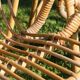 Pair of rattan basket armchairs, 60s