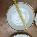 Haviland Limoges porcelain tableware set
