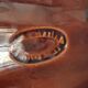 Ceramic leaf-shaped pocket emptier signed Vallauris – Vintage